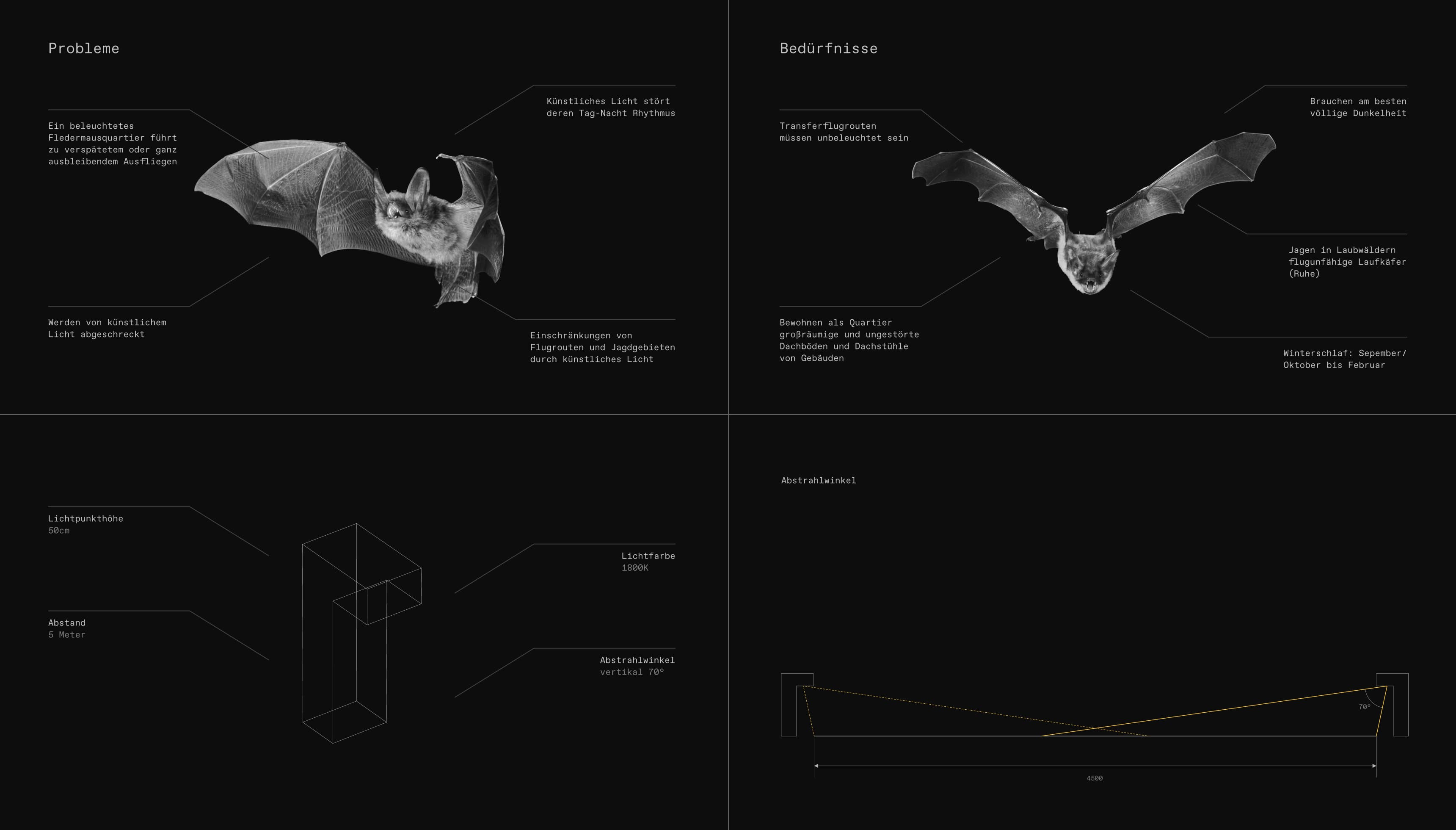 Park analysis