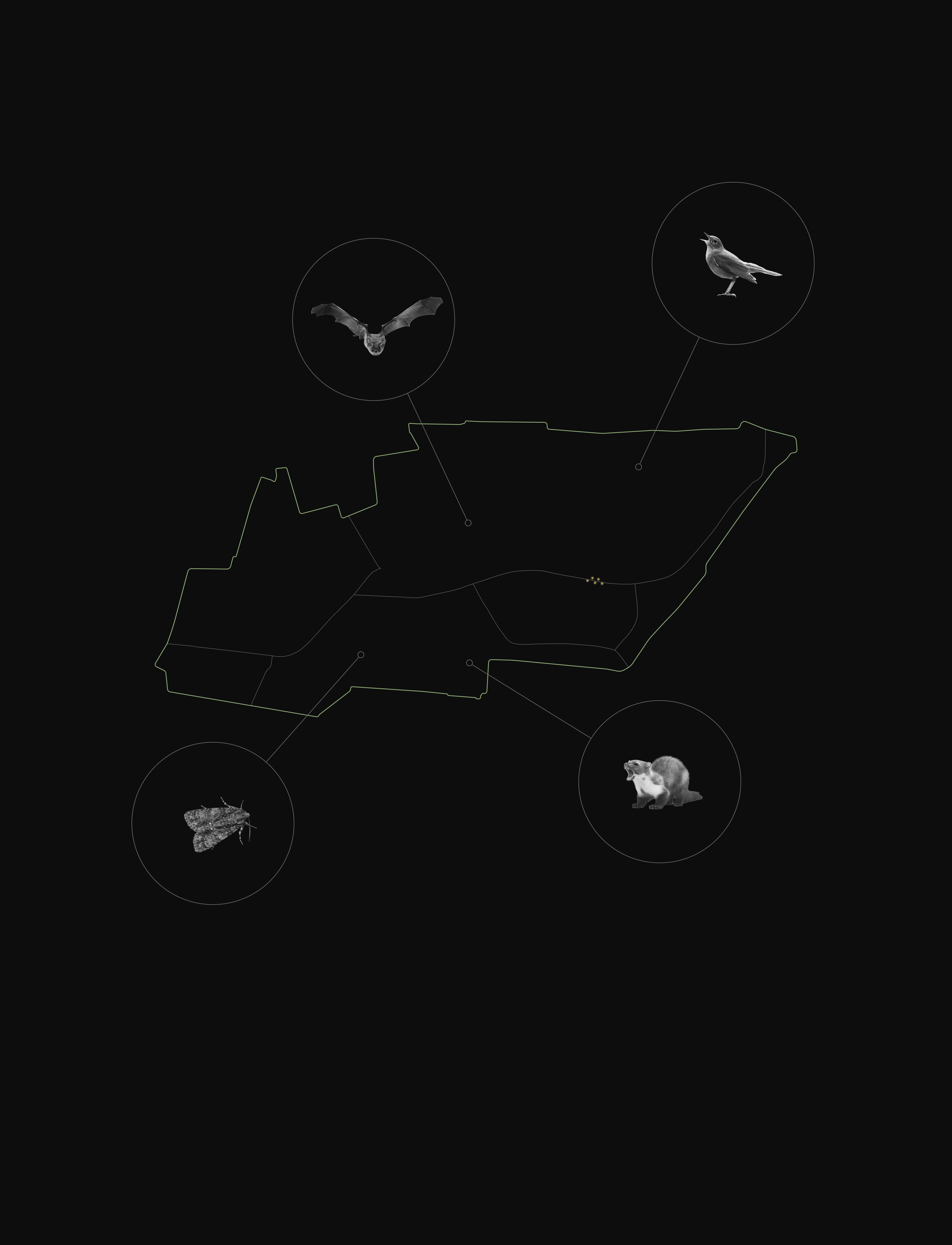 Adaptive Park Lighting